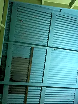 Snapshot of islandvybee55 chatting on 16, 12, 2025 islandvybee55 online show from 16, 12, 2025