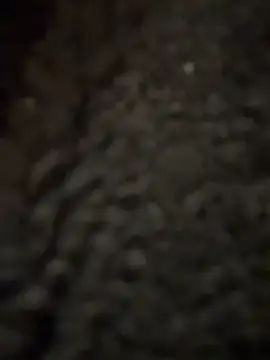 cicciolina online show from 31, 1, 2025