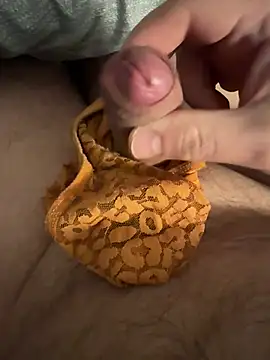 Voyeurpervert69 online show from 13, 2, 2026