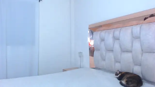 Snapshot of lolaperrys chatting on 13, 12, 2024 lolaperrys online show from 13, 12, 2024