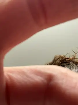 Snapshot of laninasub chatting on 23, 4, 2026 laninasub online show from 23, 4, 2026