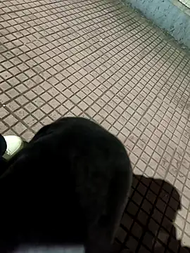 Snapshot of SurjS9 chatting on 20, 9, 2025 SurjS9 online show from 20, 9, 2025