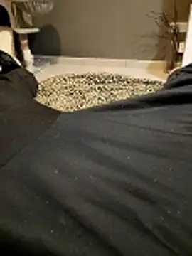 HotBoy6699 online show from 11, 2, 2026