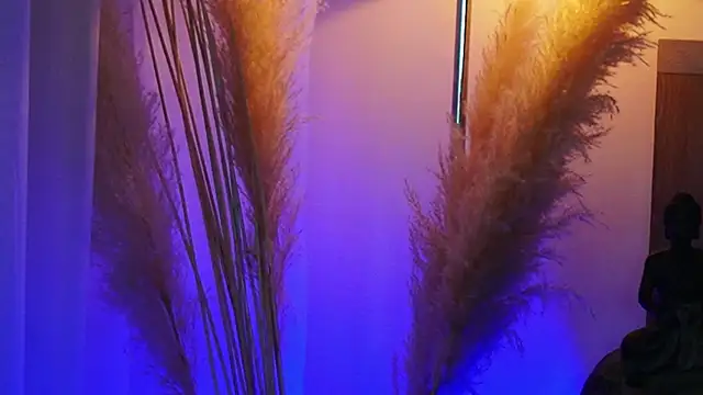 Snapshot of AliceShazaham_ chatting on 12, 9, 2025 AliceShazaham online show from 12, 9, 2025