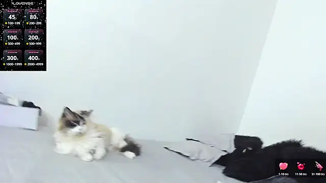 SophieBaker   online show from 3, 2, 2026