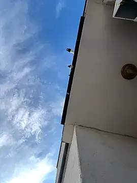 eddy355 online show from 9, 11, 2025