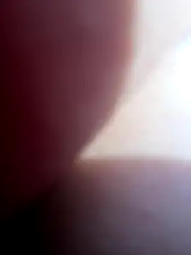 Blue butterfly online show from 28, 9, 2025