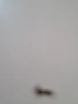 BriannaVincent online show from 29, 10, 2025