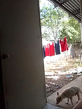 Andresguz35 online show from 8, 2, 2026