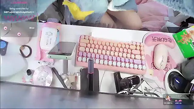 Xiaoyu-G online show from 7, 1, 2026