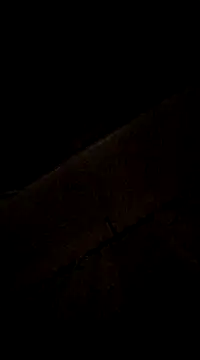 YuliannaFox online show from 6, 12, 2024