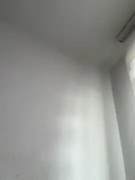 derFickerali online show from 15, 12, 2025