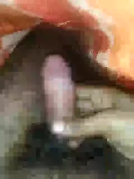 cjonybab online show from 14, 1, 2025