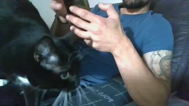 Snapshot of Kevoon991 chatting on 20, 11, 2025 Kevoon991 online show from 20, 11, 2025