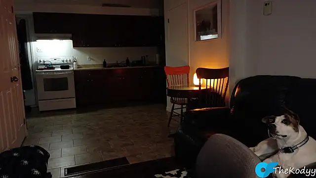 Snapshot of Thekodyy chatting on 9, 1, 2026 Thekodyy online show from 9, 1, 2026