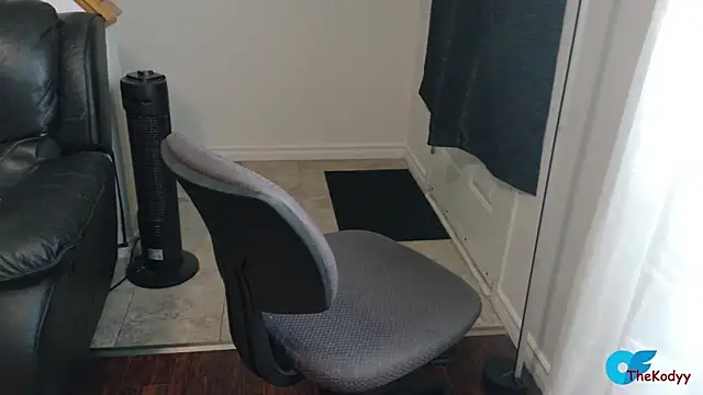 Snapshot of Thekodyy chatting on 10, 2, 2026 Thekodyy online show from 10, 2, 2026