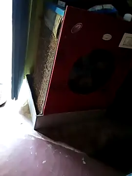 Snapshot of InboardHasek chatting on 26, 12, 2024 InboardHasek online show from 26, 12, 2024