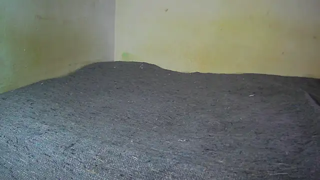 fern tlk online show from 17, 12, 2024