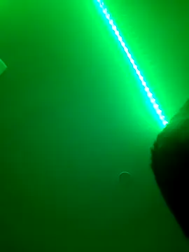 hot dick 6 9 online show from 29, 1, 2025