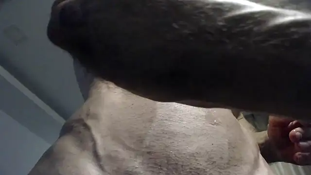 flexforyou online show from 23, 10, 2025