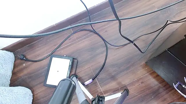 Snapshot of Aurora_blossom__ chatting on 24, 12, 2024 Aurora blossom online show from 24, 12, 2024