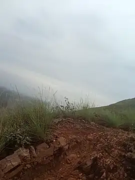 PervertedMature online show from 6, 11, 2025