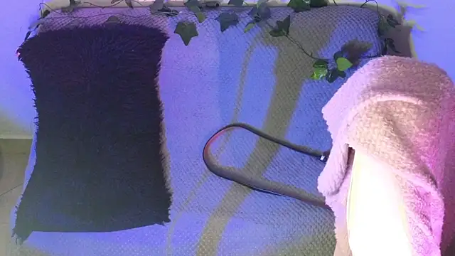 Snapshot of Alahia7demon chatting on 9, 2, 2026 Alahia7demon online show from 9, 2, 2026