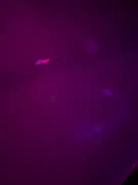 Snapshot of Alahia7demon chatting on 22, 3, 2026 Alahia7demon online show from 22, 3, 2026