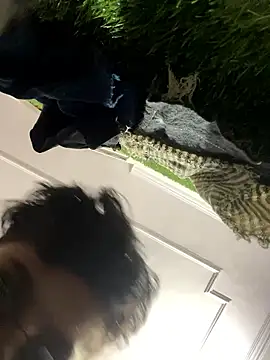 John desihunk online show from 7, 1, 2026