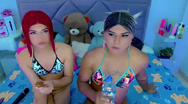 Snapshot of party_duo_trans chatting on 27, 2, 2025 party duo trans online show from 27, 2, 2025