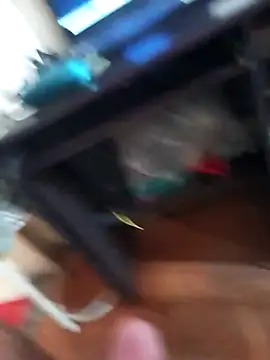 lobomisterioso13 online show from 15, 4, 2026