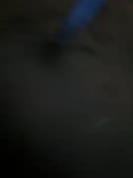 A-mira online show from 10, 2, 2026