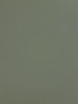 Snapshot of A-mira chatting on 26, 4, 2026 A-mira online show from 26, 4, 2026