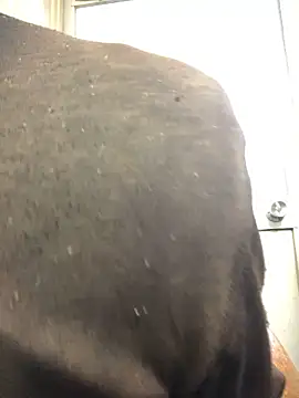 Snapshot of agaupt2 chatting on 16, 12, 2025 agaupt2 online show from 16, 12, 2025