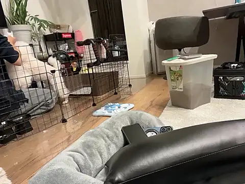 Snapshot of kensnb chatting on 1, 11, 2025 kensnb online show from 1, 11, 2025