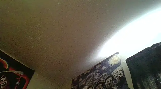 Snapshot of clitstitsandbongrips chatting on 13, 2, 2025 clitstitsandbongrips online show from 13, 2, 2025