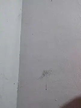 Snapshot of Negrocomedo chatting on 6, 3, 2026 Negrocomedo online show from 6, 3, 2026