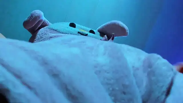 Snapshot of Lily_stone04 chatting on 16, 12, 2025 Lily stone04 online show from 16, 12, 2025