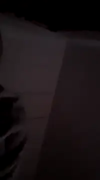 Snapshot of MIGHTY_MAGNUM chatting on 9, 12, 2024 MIGHTY MAGNUM online show from 9, 12, 2024