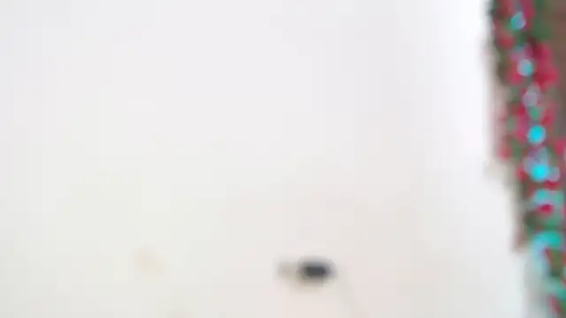 Snapshot of liissa_0 chatting on 6, 4, 2026 liissa 0 online show from 6, 4, 2026