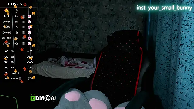 Snapshot of Your_small_bunny chatting on 15, 11, 2025 Your small bunny online show from 15, 11, 2025