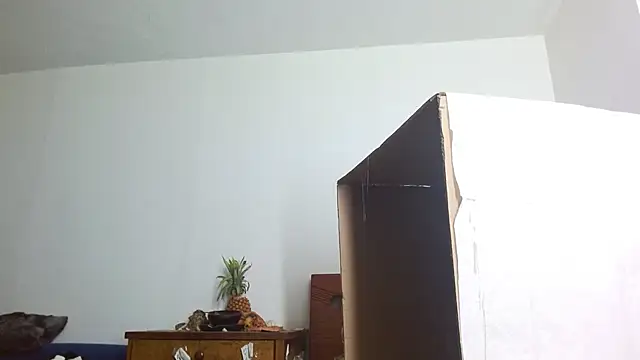 Snapshot of Party_trans chatting on 14, 12, 2024 Party trans online show from 14, 12, 2024