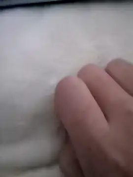 Snapshot of smailcat chatting on 7, 12, 2024 smailcat online show from 7, 12, 2024