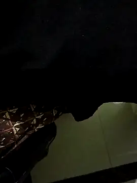 Snapshot of manoj_master chatting on 2, 12, 2024 manoj master online show from 2, 12, 2024