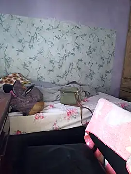 Caccau scorpion online show from 24, 11, 2025