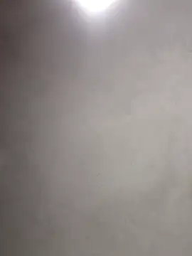  violetta - online show from 6, 11, 2025