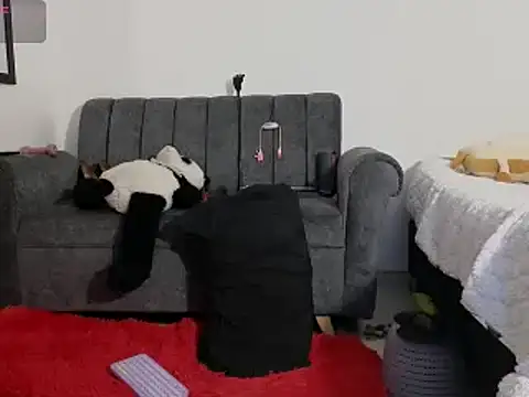 Katt BDSM online show from 13, 2, 2025