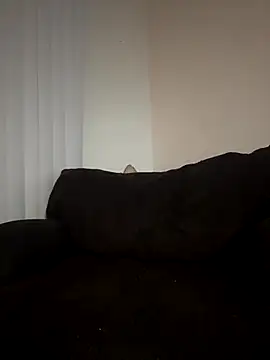 Snapshot of ladylavish chatting on 19, 12, 2025 ladylavish online show from 19, 12, 2025