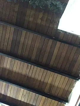 Snapshot of isacalejandroo chatting on 25, 1, 2025 isacalejandroo online show from 25, 1, 2025