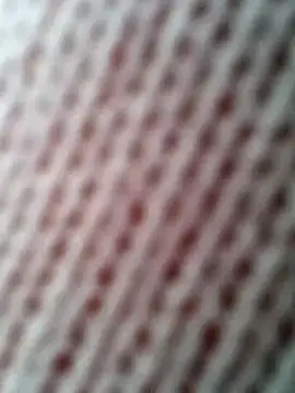 Snapshot of Gardener_of_Illusions chatting on 31, 10, 2025 Gardener of Illusions online show from 31, 10, 2025